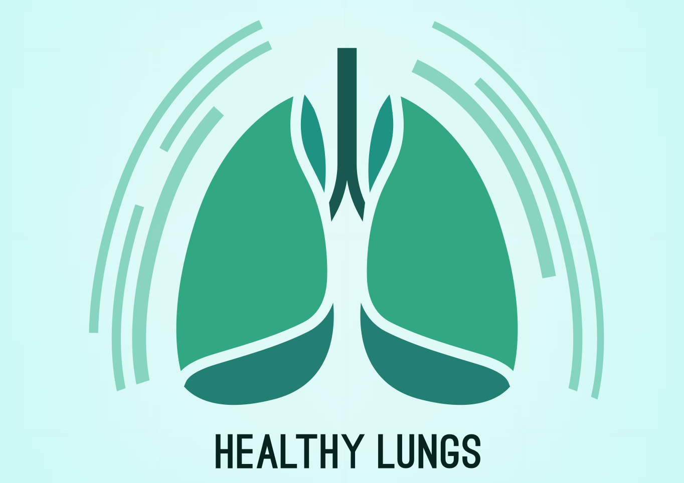 Lungs Graphic